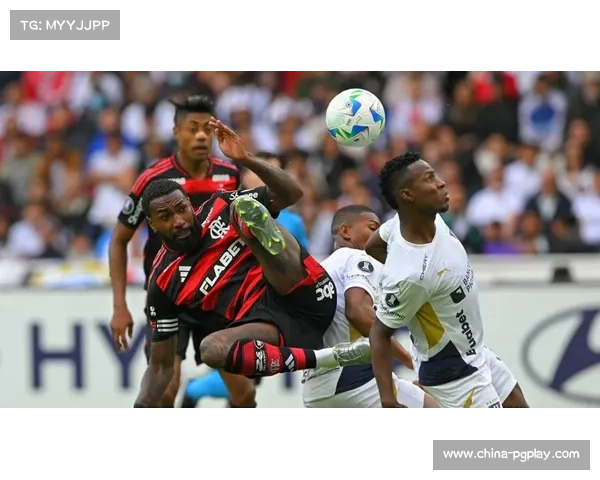 弗拉门戈本赛季解放者杯场均失球仅0.8个,防守稳固